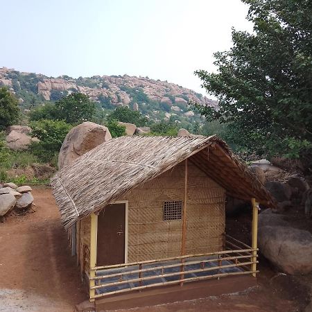 Monkey Paradise Hampi هامبي المظهر الخارجي الصورة