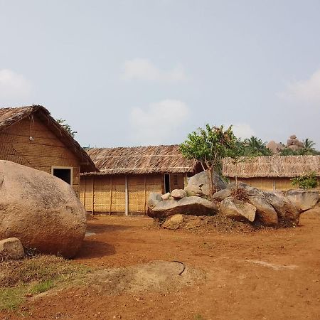 Monkey Paradise Hampi هامبي المظهر الخارجي الصورة