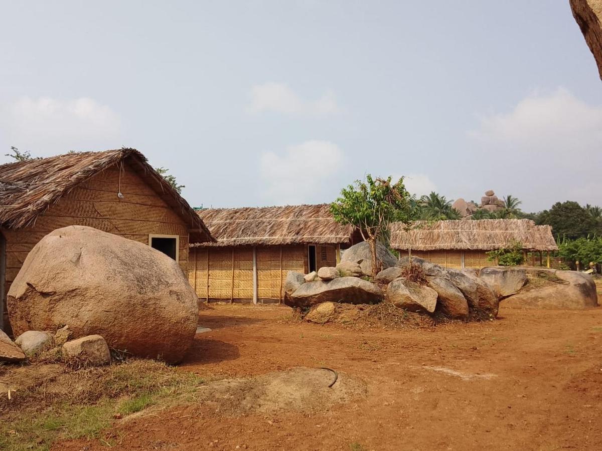Monkey Paradise Hampi هامبي المظهر الخارجي الصورة