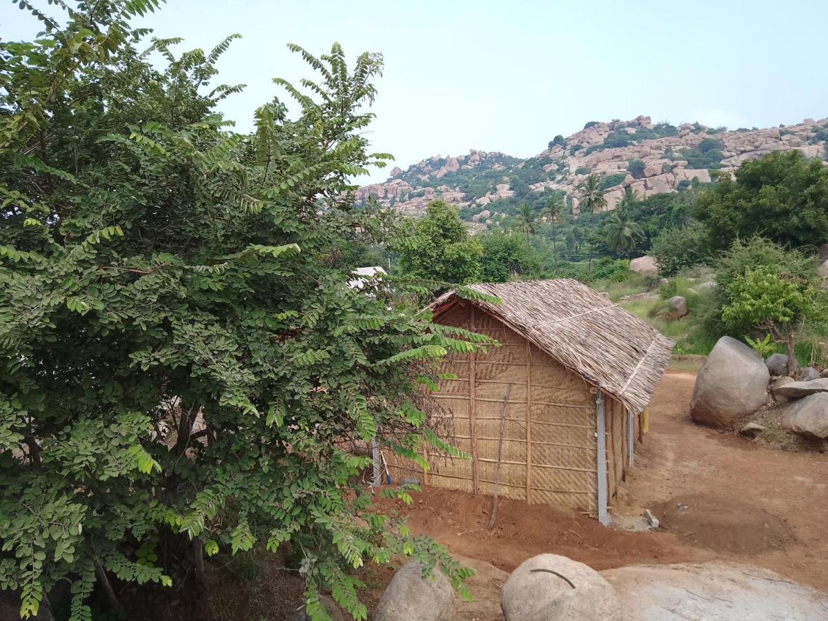 Monkey Paradise Hampi هامبي المظهر الخارجي الصورة