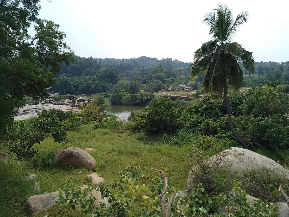 Monkey Paradise Hampi هامبي المظهر الخارجي الصورة