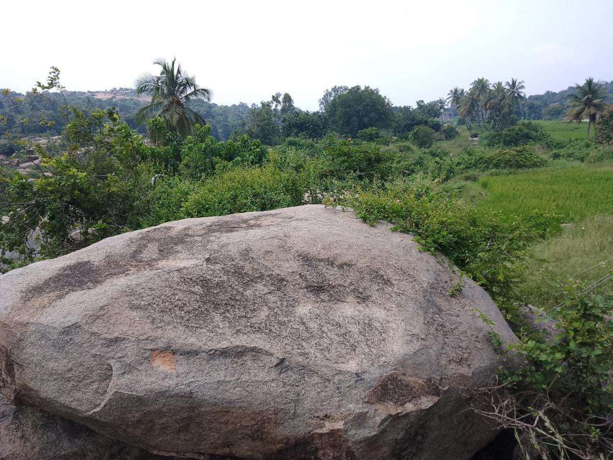 Monkey Paradise Hampi هامبي المظهر الخارجي الصورة
