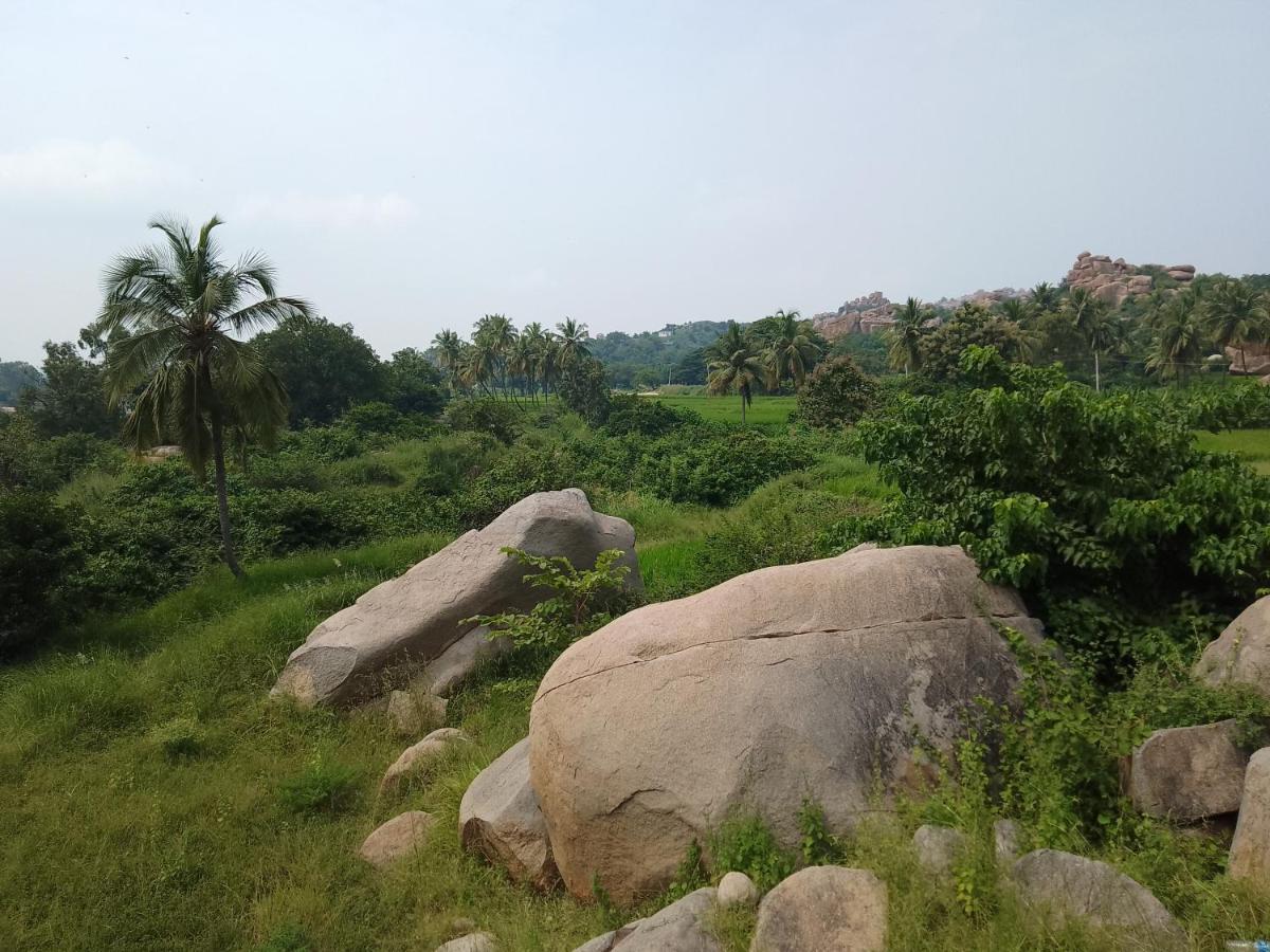 Monkey Paradise Hampi هامبي المظهر الخارجي الصورة