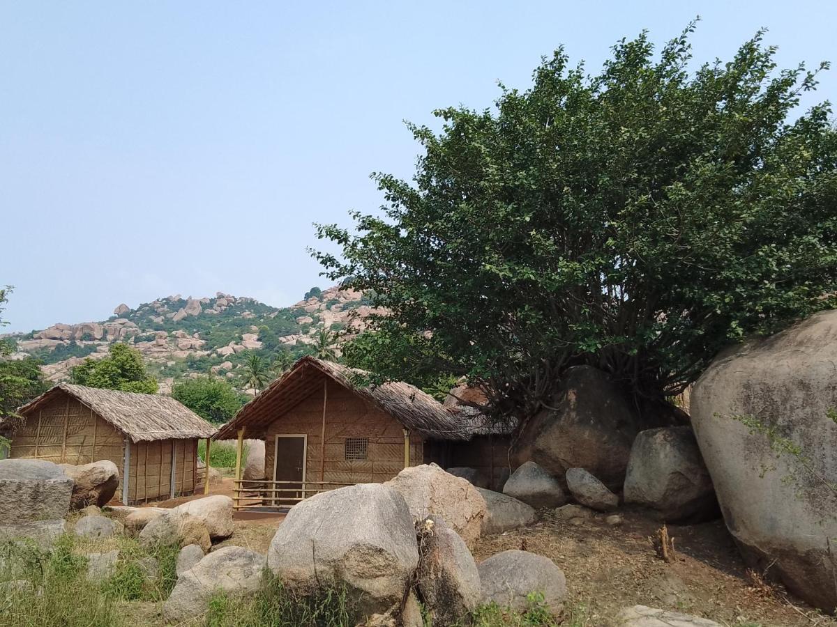 Monkey Paradise Hampi هامبي المظهر الخارجي الصورة
