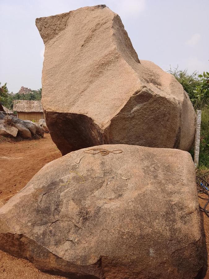 Monkey Paradise Hampi هامبي المظهر الخارجي الصورة