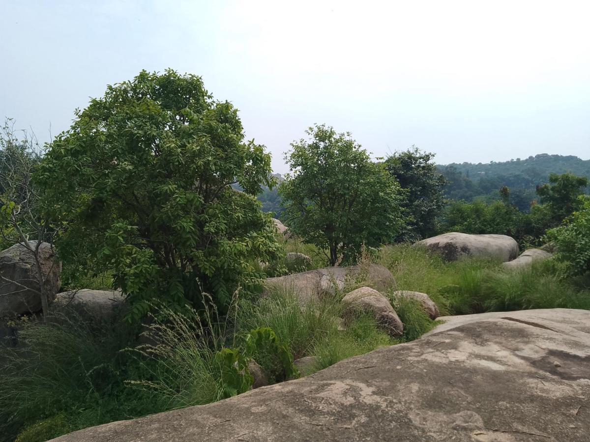 Monkey Paradise Hampi هامبي المظهر الخارجي الصورة