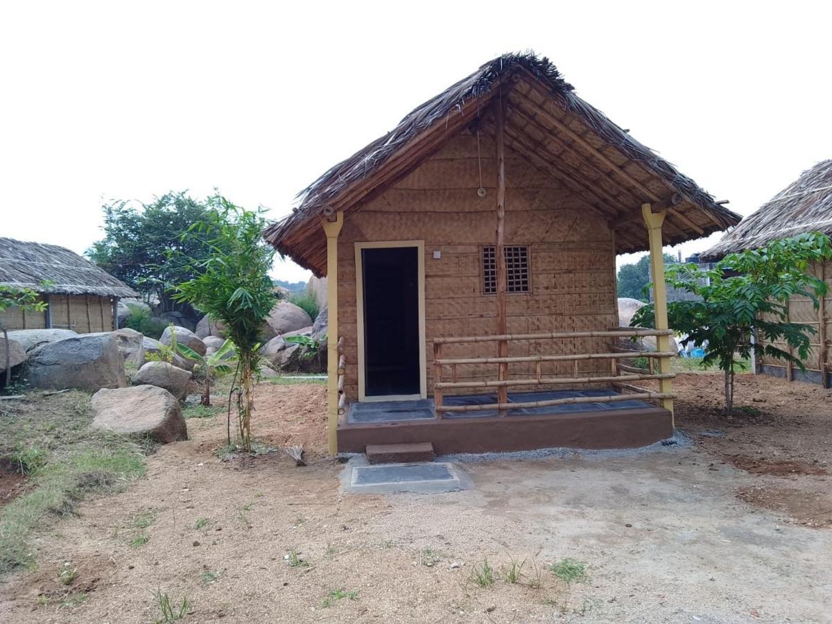 Monkey Paradise Hampi هامبي المظهر الخارجي الصورة